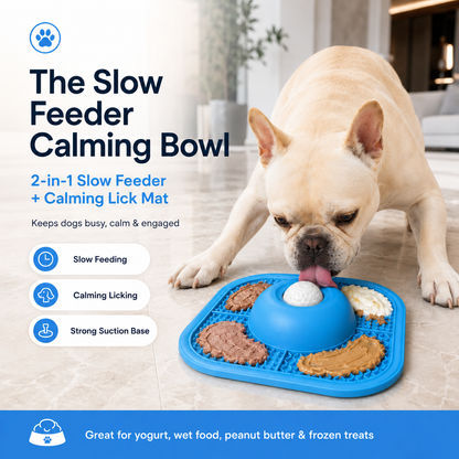 Dog licking the textured zones of the Calm Bowl